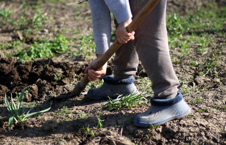 De schop moet in de grond Boskoop GLIA