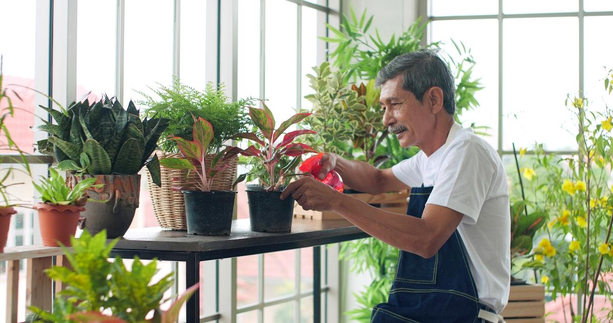 Man verzorgt planten op zorgboerderij
