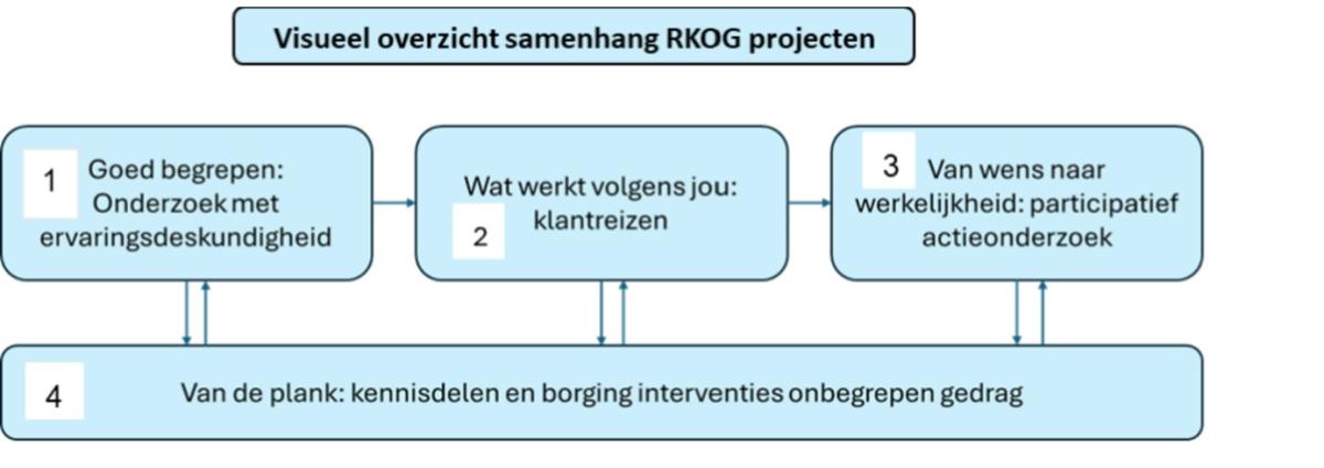 visueel overzicht samenhang RKOG projecten