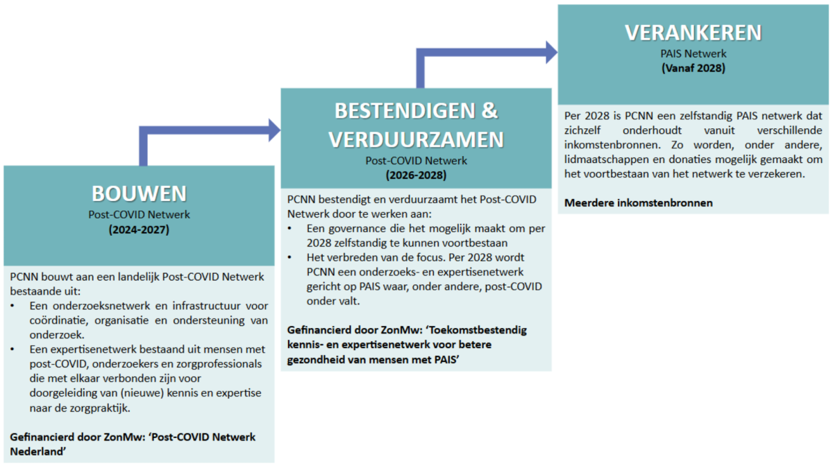 fases van ontwikkeling van PCNN